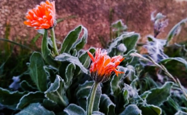Chuva e frio marcam começo de junho em Santa Catarina