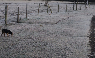 Termômetros chegam perto dos 0°C na manhã desta sexta-feira