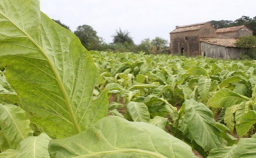 Alerta: Vai faltar chuva até o dia 14