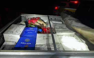 Ação conjunta entre PM, PRF e PMRv apreende 469 garrafas de vinho na SC-370