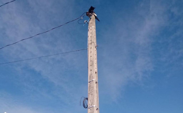 Bombeiros resgatam gato em cima de poste na Jaguaruna