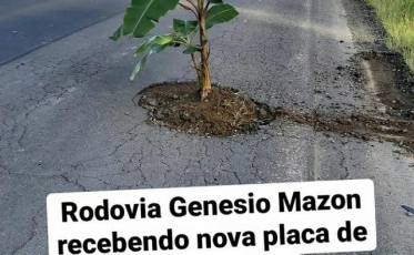 Bananeira é plantada em buraco na Rodovia Genésio Mazon