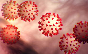 Coronavírus: Anvisa recomenda cremação em vez de enterro