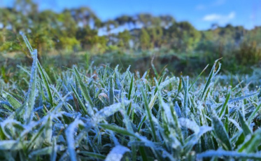 Geada deve se repetir nesse domingo na Serra Catarinense