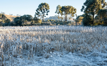 Frio histórico: região de SC terá geada em maio pela primeira vez desde 2008