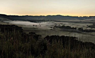 Geada modifica paisagem em São Joaquim (VÍDEO)