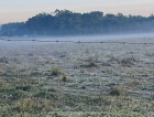 Temperaturas perto de zero mantêm frio intenso no Sul de SC