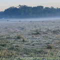 Temperaturas perto de zero mantêm frio intenso no Sul de SC