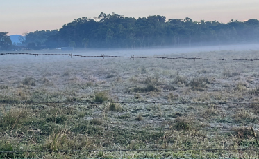 Temperaturas perto de zero mantêm frio intenso no Sul de SC