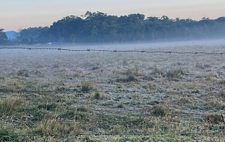 Temperaturas perto de zero mantêm frio intenso no Sul de SC