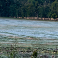 Frente fria derruba temperaturas e geada pode voltar a SC
