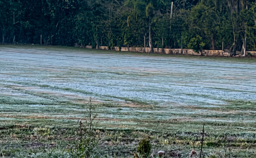 Frente fria derruba temperaturas e geada pode voltar a SC
