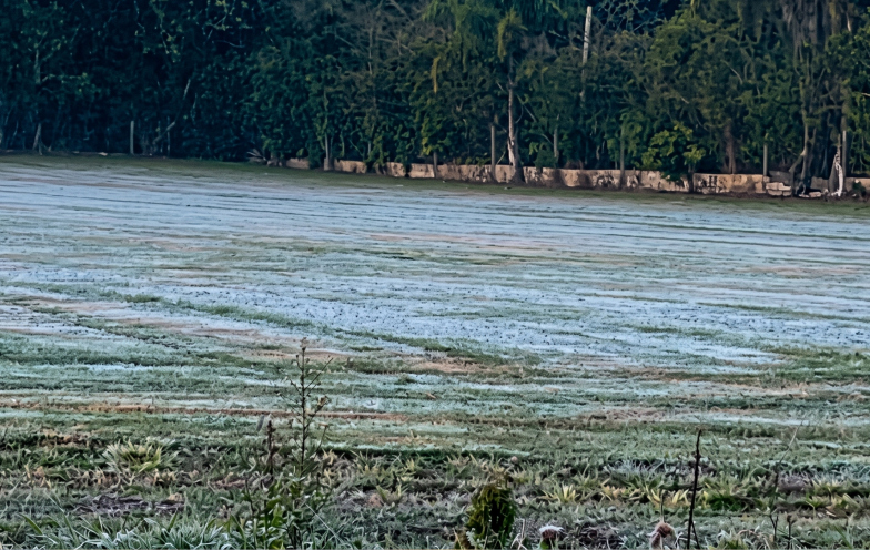 Frente fria derruba temperaturas e geada pode voltar a SC