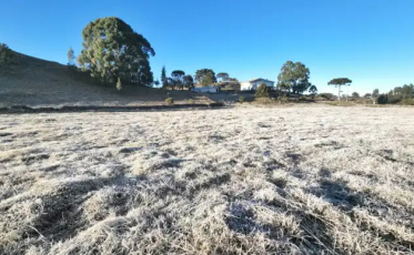 Geada cobre paisagem na Serra Catarinense (FOTOS e VÍDEO)