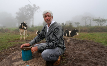 34% dos municípios catarinenses estão em alerta pela estiagem