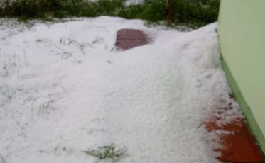 Granizo devasta 90% da safra de maçã em Urupema