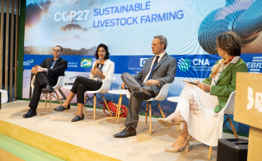 Na COP 27, Brasil debate o papel da pecuária sustentável do país
