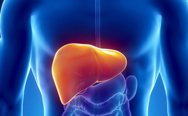 Nova Veneza realiza ações para marcar o Dia Mundial de Luta contra Hepatites Virais