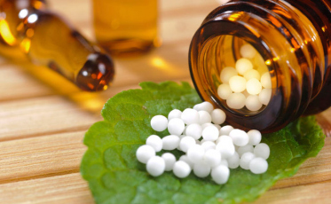 Intestino é considerado o segundo cérebro