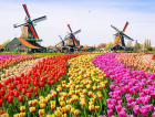7 curiosidades sobre a Holanda
