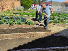 Araranguá: Projeto de horta comunitária será retomado com mutirão neste sábado