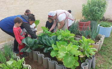 DEI da Afasc promove mais uma edição do concurso de hortas