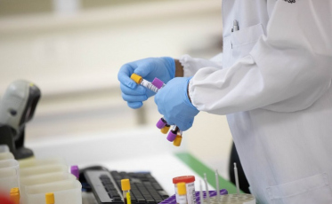 Brasileiros assinam convênio para desenvolver remédios contra malária