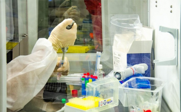 Média de mortes por covid-19 no Brasil cai 10,35% em uma semana