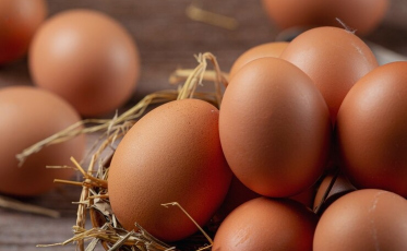 ((Áudio)) Por que o preço do ovo subiu tanto?