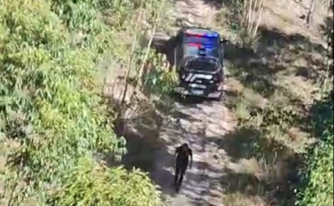 [Vídeo] Suspeitos de assassinato de idoso são identificados