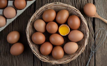 País tem recorde na produção de ovos, abate de bovinos, frango e porco