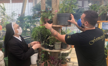 Plantas levam cor e alegria ao Hospital São José