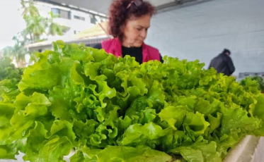 Nova Veneza: Feira da Agricultura Familiar retorna nesta sexta-feira