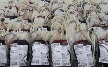 Dia Mundial da Hemofilia: condição genética dificulta coagulação