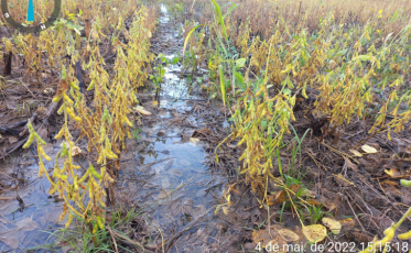 Amrec e Amesc somam mais de R$ 9,7 milhões em prejuízos na agricultura após as chuvas