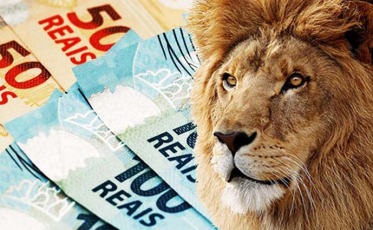 Liberada a consulta sobre restituição do Imposto de Renda