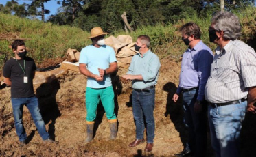 Agricultores buscam inovações para aumentar a renda no meio rural
