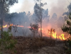 Incêndio atinge aproximadamente 25 mil m² de área de vegetação