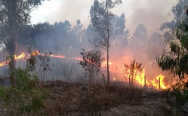 Incêndio atinge aproximadamente 25 mil m² de área de vegetação