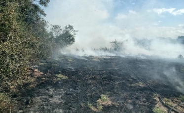 Incêndio em vegetação é registrado em Jaguaruna 