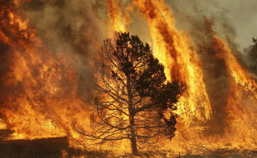 Cuidado com os incêndios