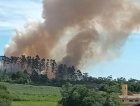 Sangão: bombeiros combatem incêndio em grande área de vegetação