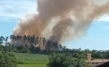 Sangão: bombeiros combatem incêndio em grande área de vegetação