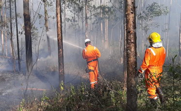 Chuva alivia a situação dos incêndios em Urussanga