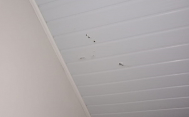 Populares combatem princípio de incêndio em residência de Forquilhinha