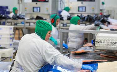 Santa Catarina tem taxa de desemprego menor do que todos os países do G7