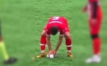 Capitão vira herói ao salvar vida de gaivota atingida por bolada; veja vídeo