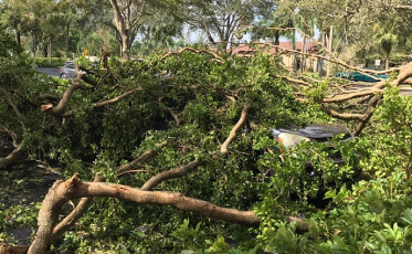 Em casa não funciona nada... Continuo no abrigo