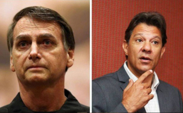 Conheça as propostas de Bolsonaro e Haddad para o meio ambiente