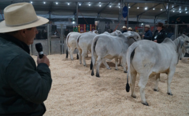 AgroPonte começa nesta quarta: saiba tudo antes de visitar a maior feira do agro de SC